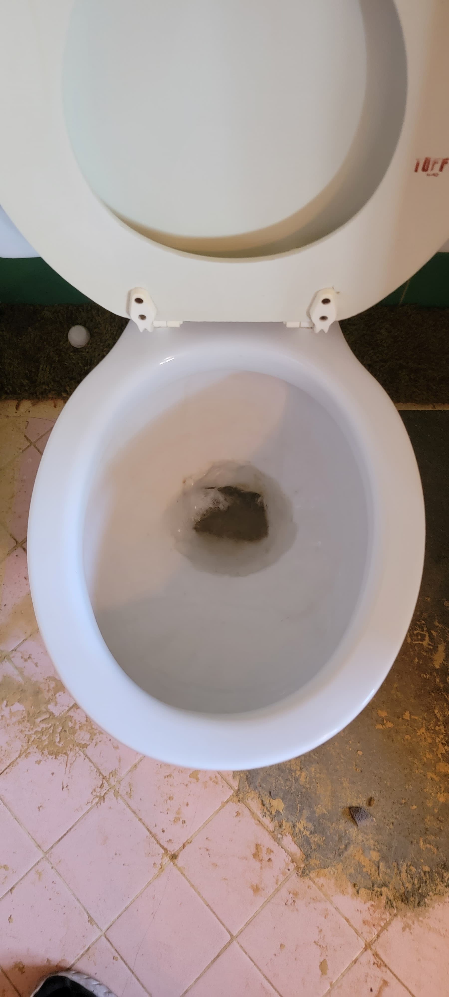 The same bathroom after cleaning, with the toilet restored