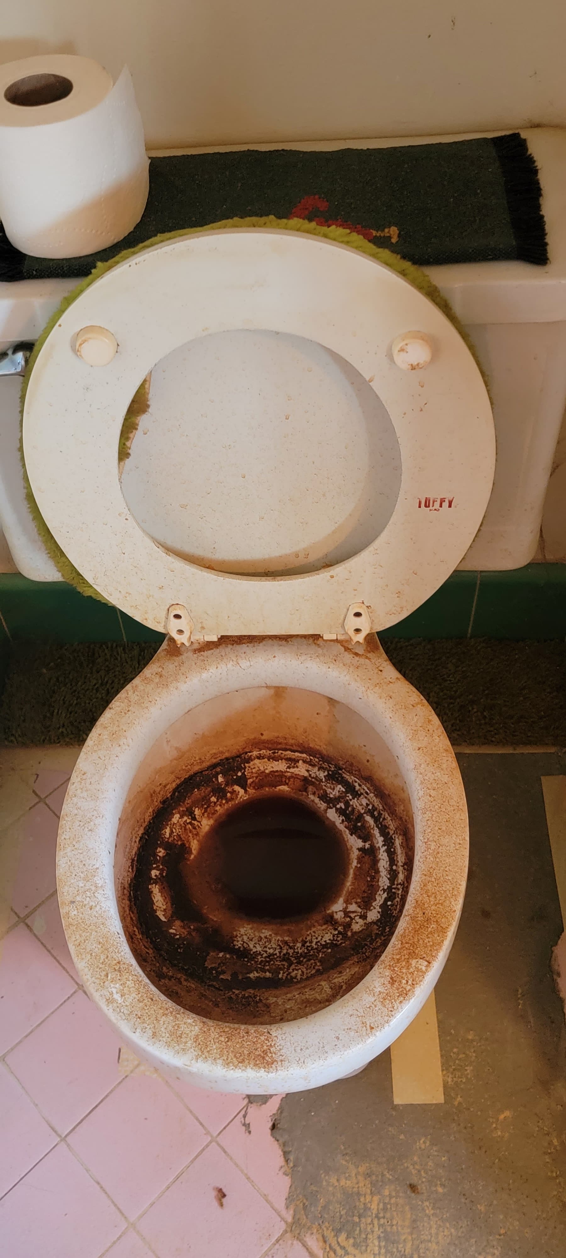 Bathroom before cleaning, with heavy buildup visible inside the toilet